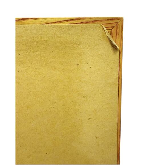 Amish Schoolhouse Professionally Matted & Wood Framed Print Rectangular Picture - Picture 16 of 16